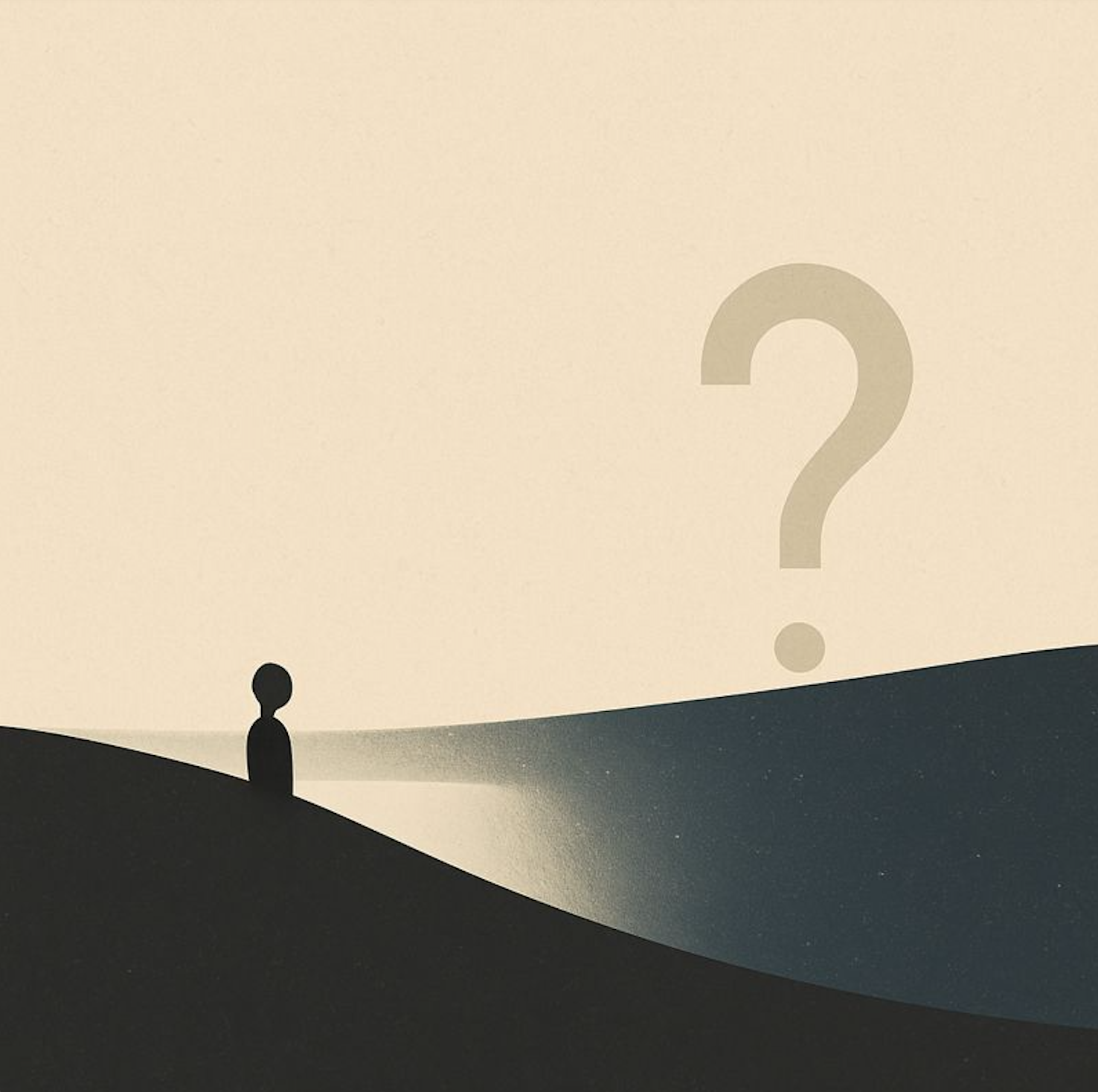 WHAT IS CURIOSITY? WHAT DO WE FEEL CURIOUS ABOUT?