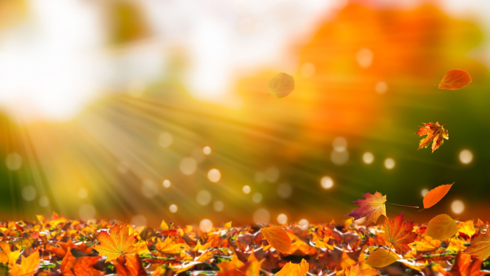 Why Do People Search for Meaning in Silence?