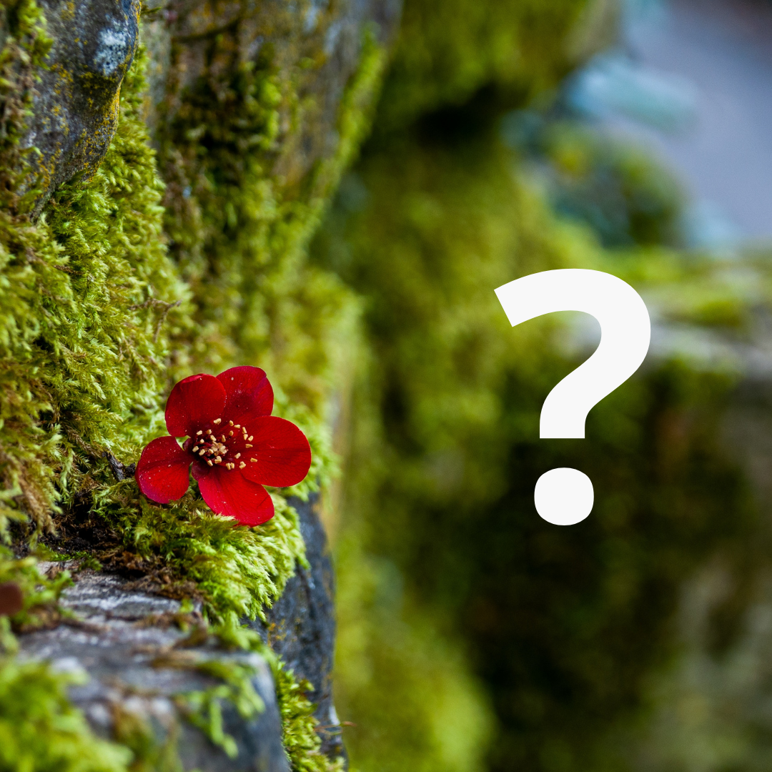 Why Does the Creator Remain Unseen?